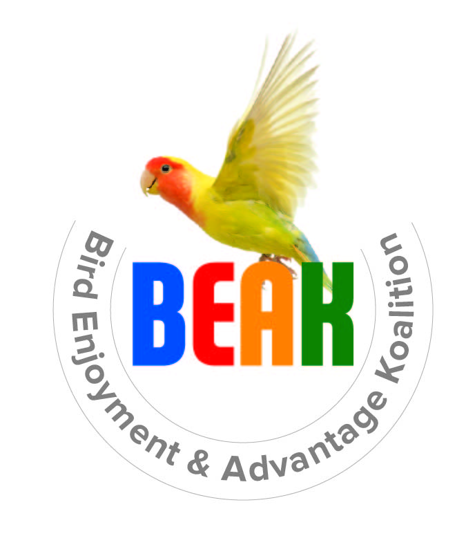 Beak_Logo